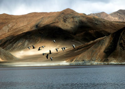 Leh with Srinagar Kargil