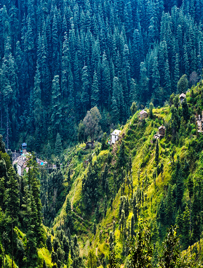 Ranikhet-Ranikhet