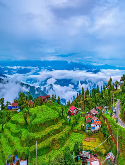 Darjeeling-