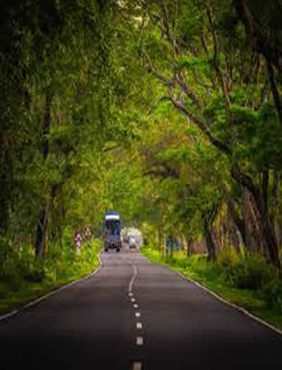 Assam-Road