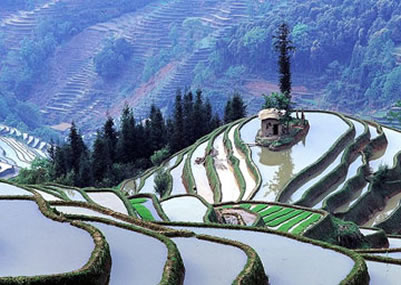 Arunachal Pradesh - Meghalaya - Assam